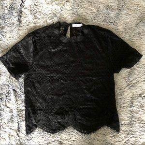 ZARA Black Mesh Crop Top | M